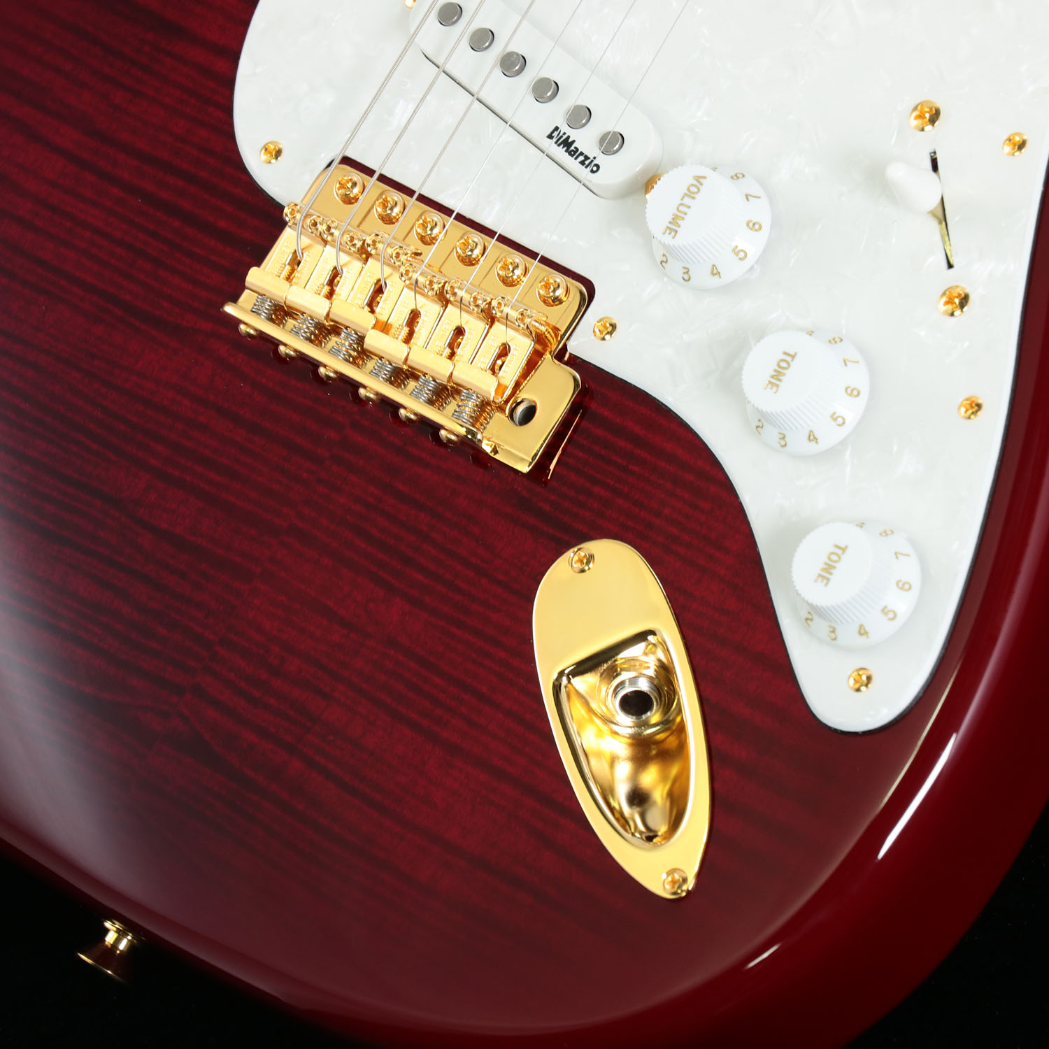 Fender / Japan Exclusive Richie Kotzen Stratocaster