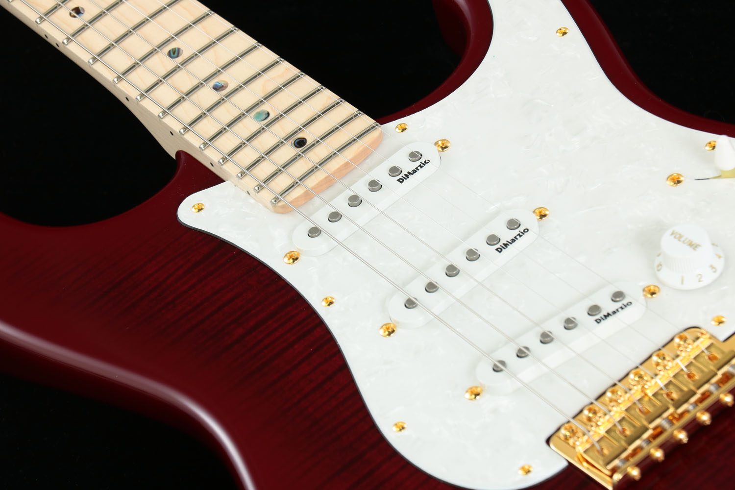 Fender / Japan Exclusive Richie Kotzen Stratocaster