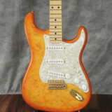 Fender / ISHIBASHI FSR MIJ Traditional 50s Stratocaster Quilted Maple Top Ash Back Honey Burst  S/N JD24015372ۡŹ