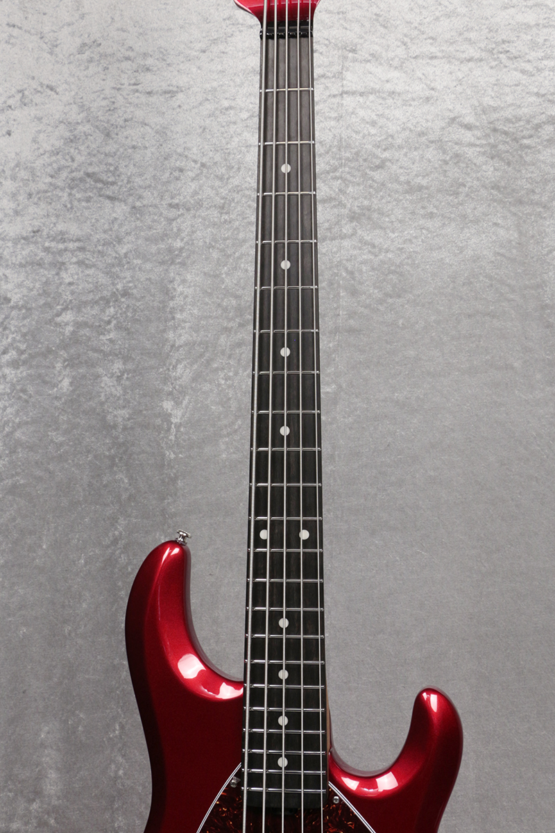 MUSIC MAN / StingRay Special 5string Candyman / Ebony