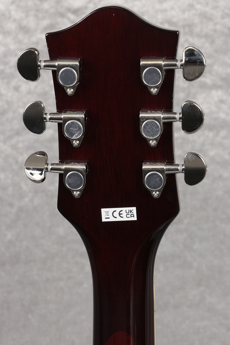 Gretsch / G2622T Streamliner Center Block Double-Cut with Gretsch / G2622T Streamliner Center Block Double-Cut with