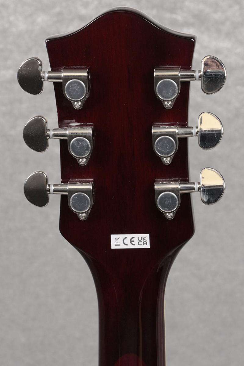 Gretsch / G2655 Streamliner Center Block Jr. Double-Cut with Gretsch / G2655 Streamliner Center Block Jr. Double-Cut with