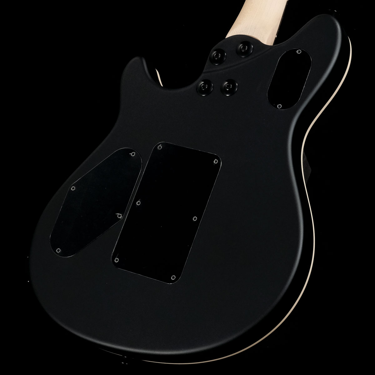 Heve ヘイブ Swan Grace BL black Swan Grace BL black | HEVE