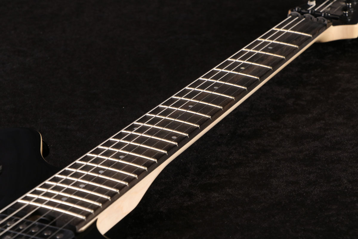 EVH / Wolfgang Special Ebony Fingerboard Silverburst 【S/N