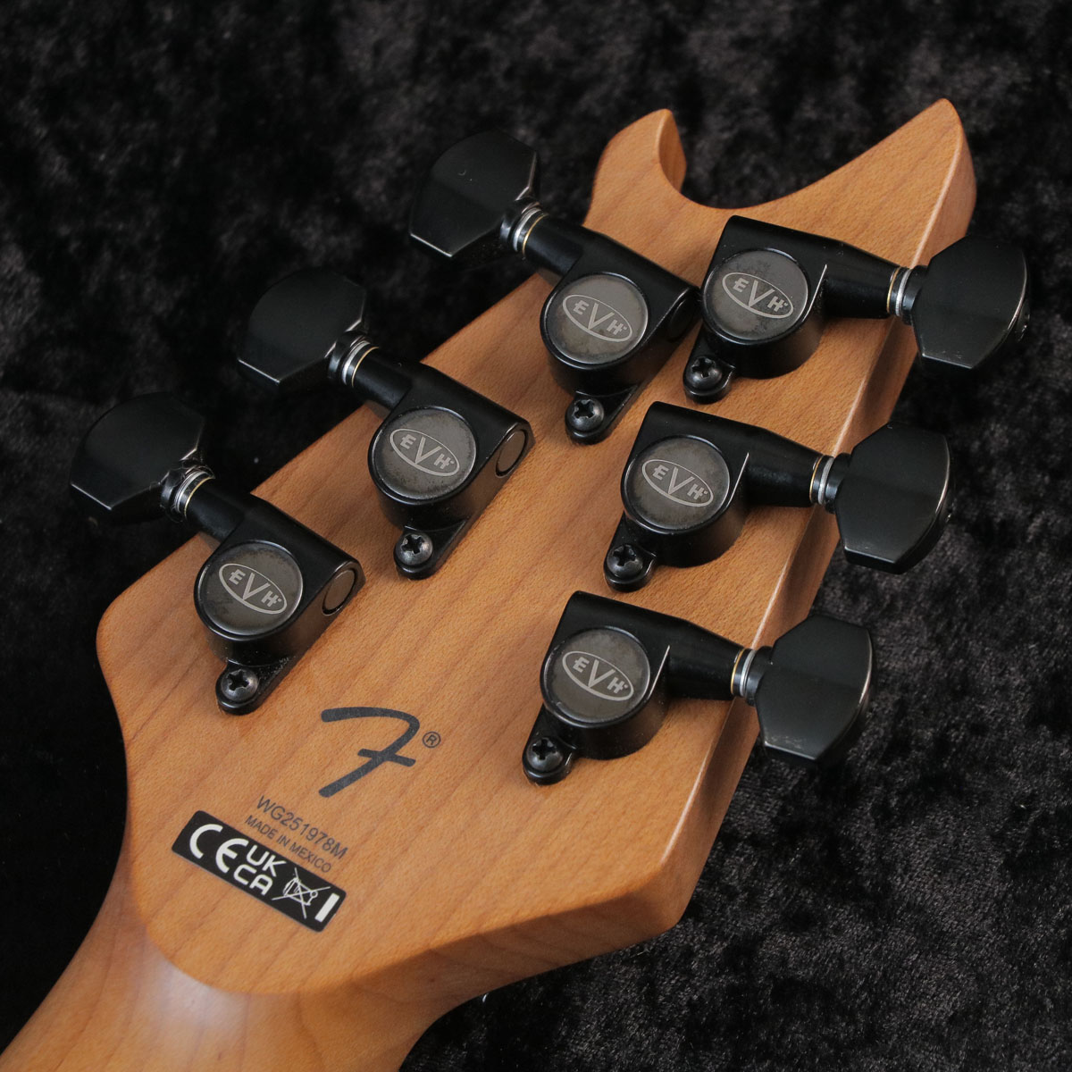 EVH / Wolfgang Special TOM Baked Maple Fingerboard Husk