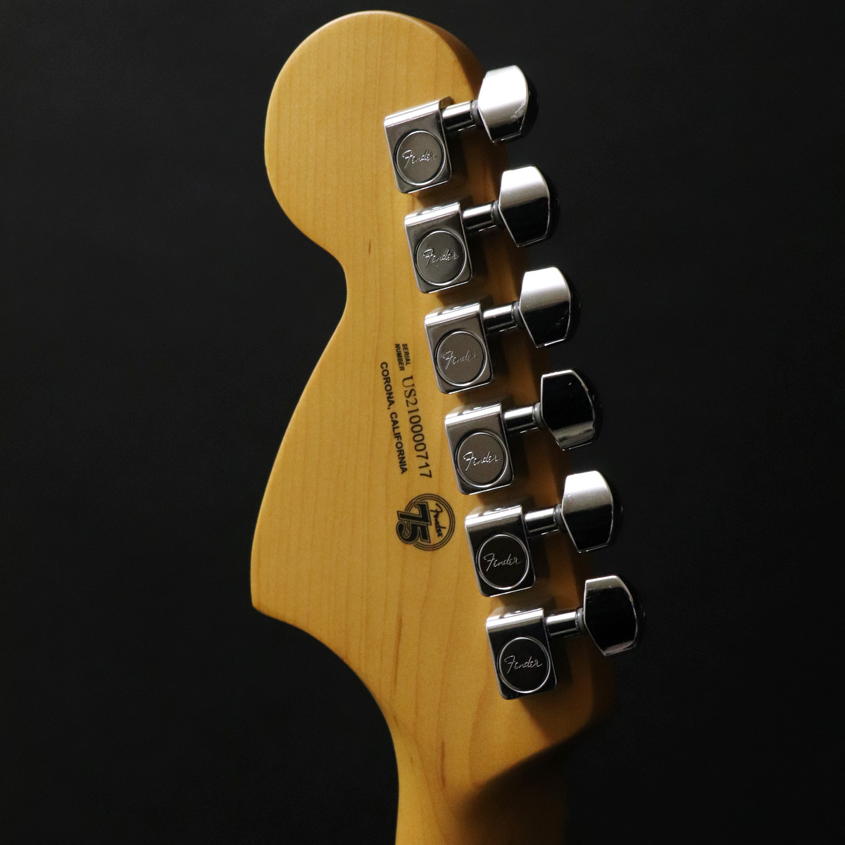 Fender / American Professional II Telecaster Deluxe Maple