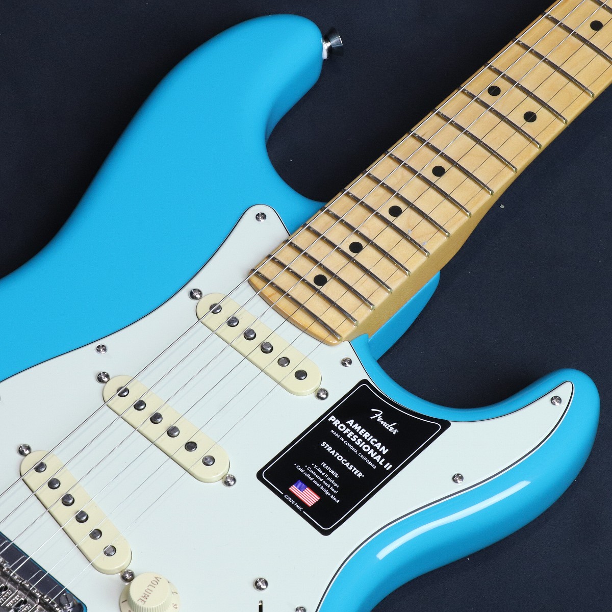 Fender USA Stratocaster 美品 付属品多数 Fender USA 1979 25th Anniversary Stratocaster / ALL GOLD