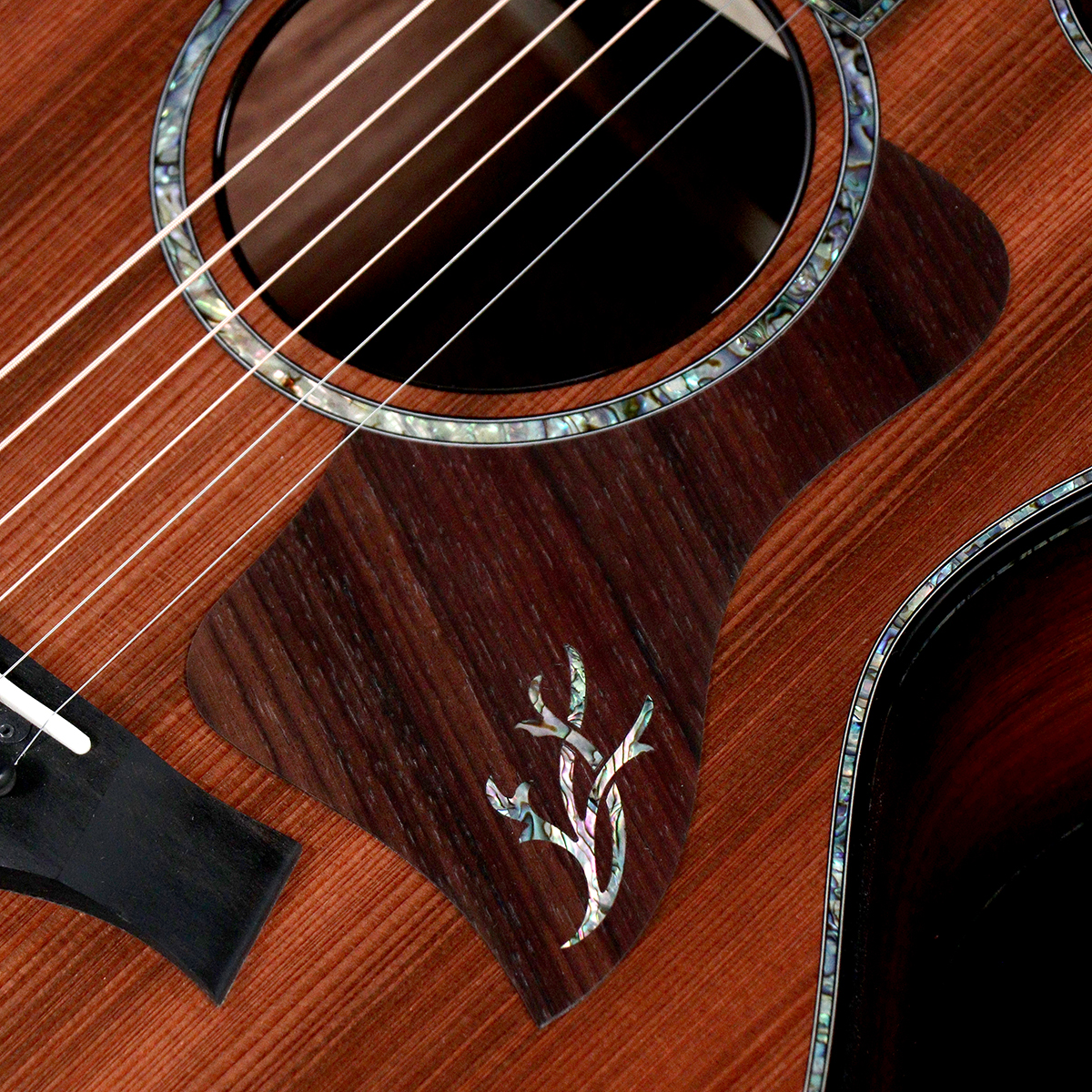 Taylor / Presentation Series PS14ce Sinker Redwood Top(重量