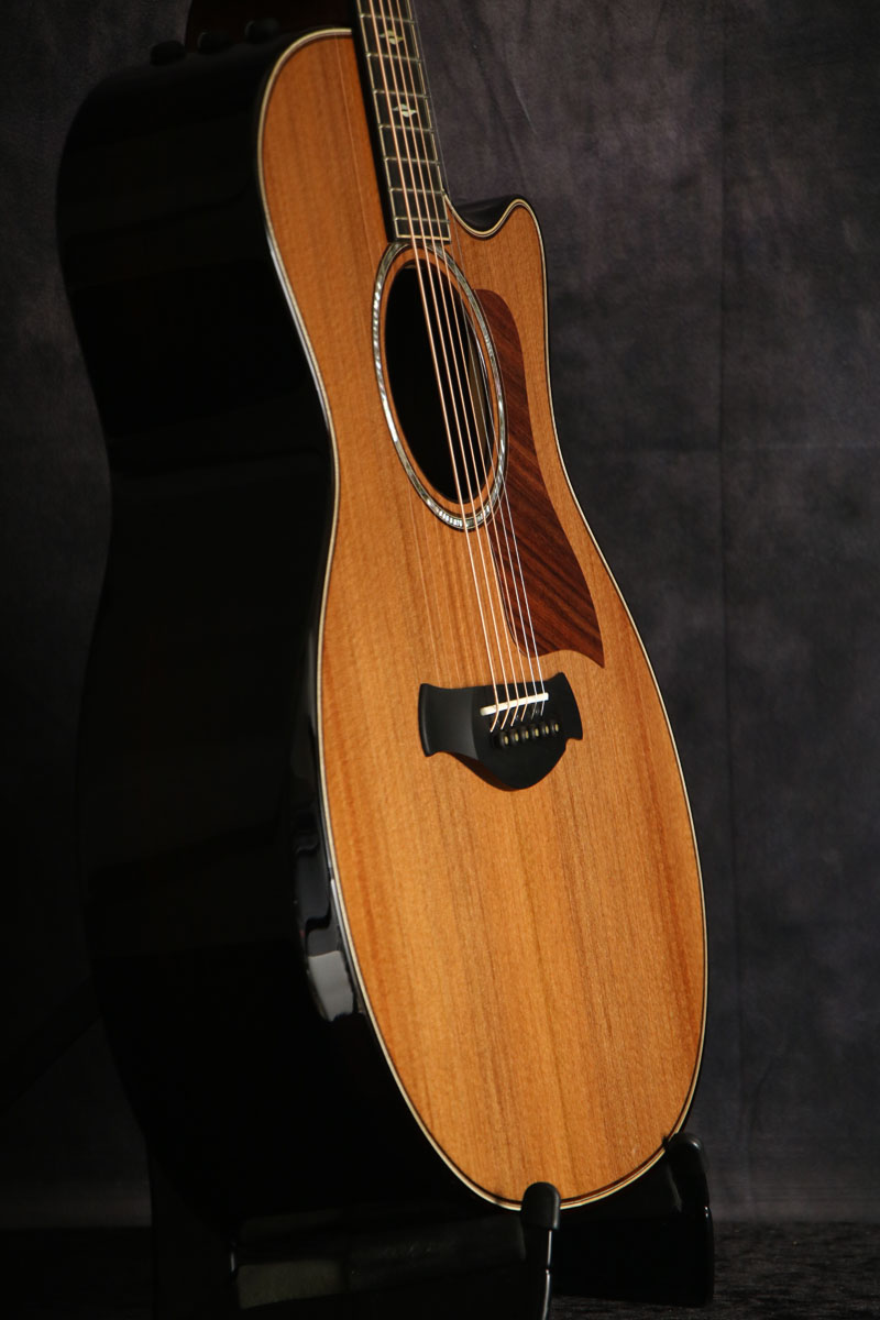Taylor / 50th Anniversary Builder's Edition 814ce LTD【S/N