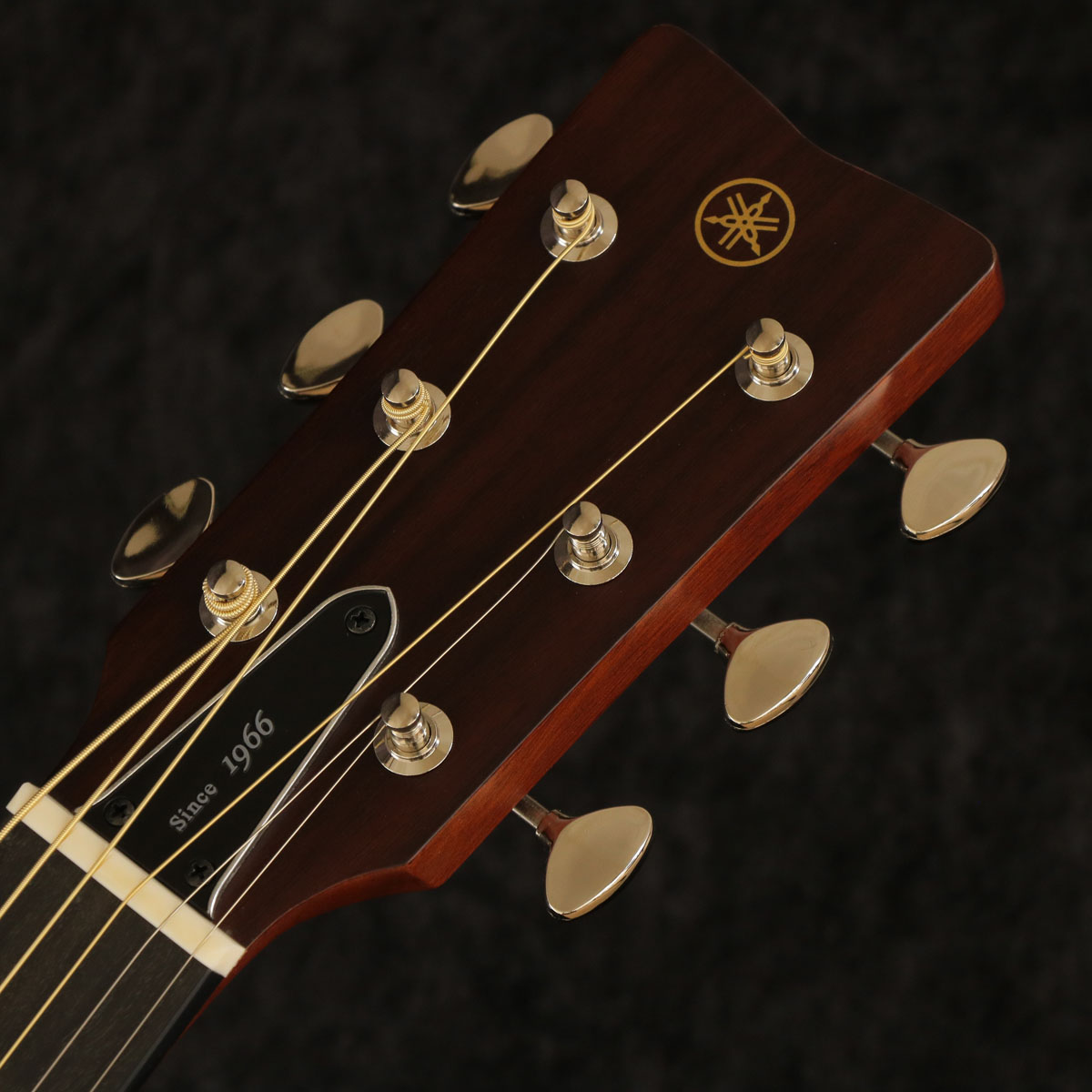 YAMAHA / Red Label FSX5 GLOSS (FSX5G) Vintage Natural [S/N