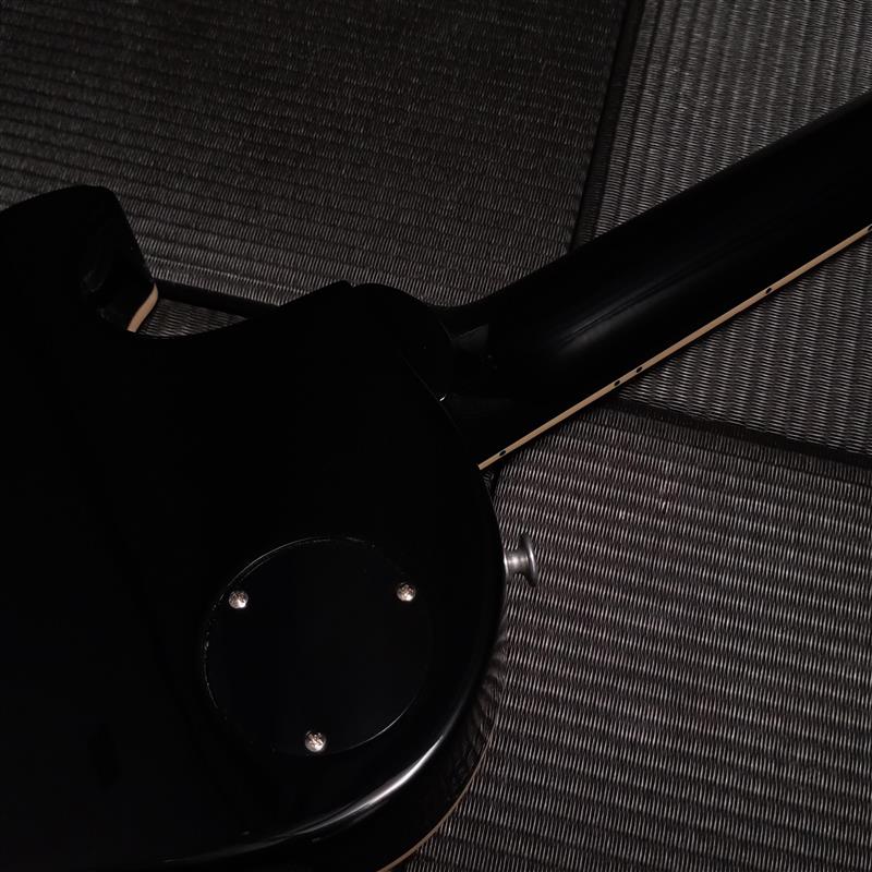 Gibson USA / Exclusive Les Paul Standard 50s Figured dark