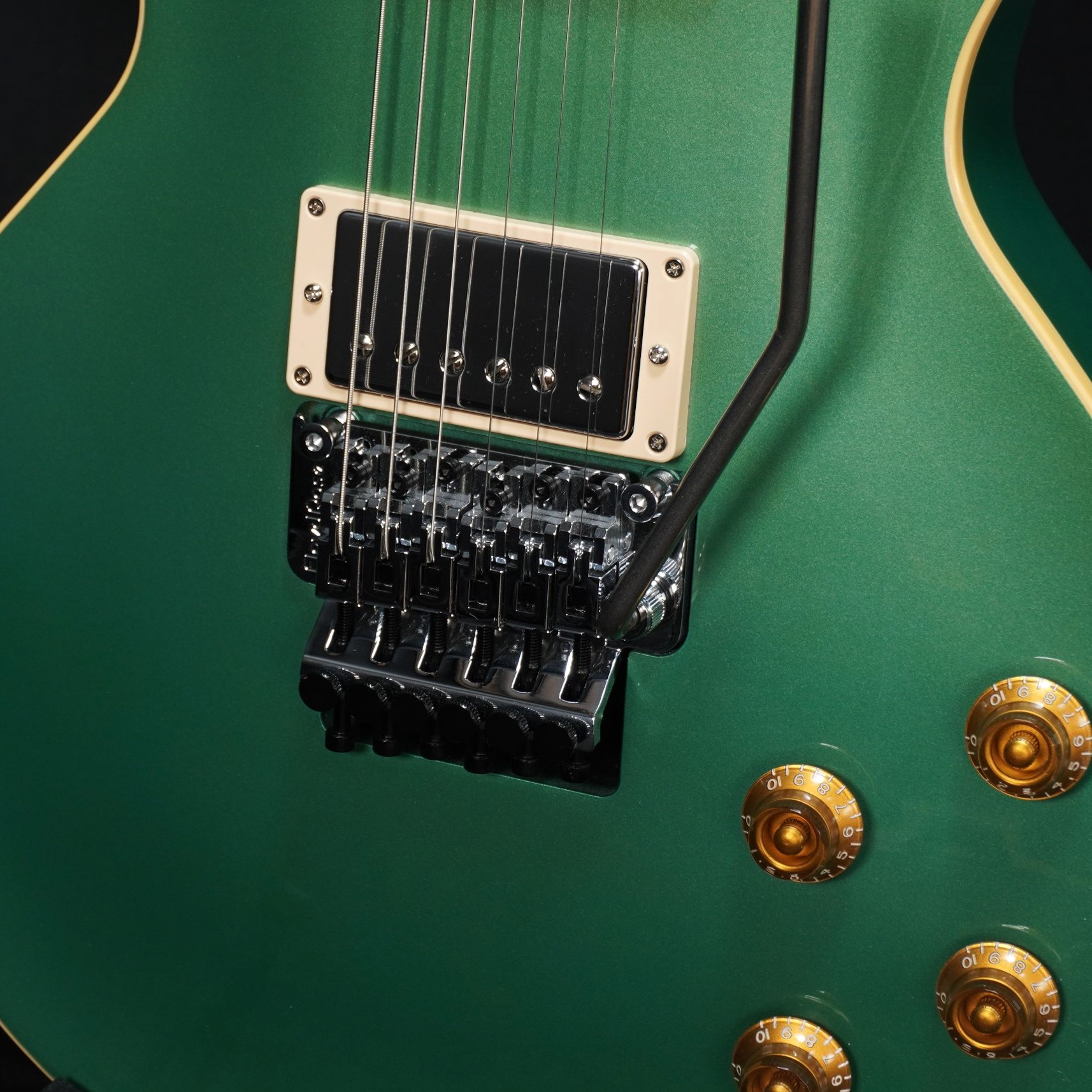 Gibson Custom Shop / Hand Picked Les Paul Axcess Standard