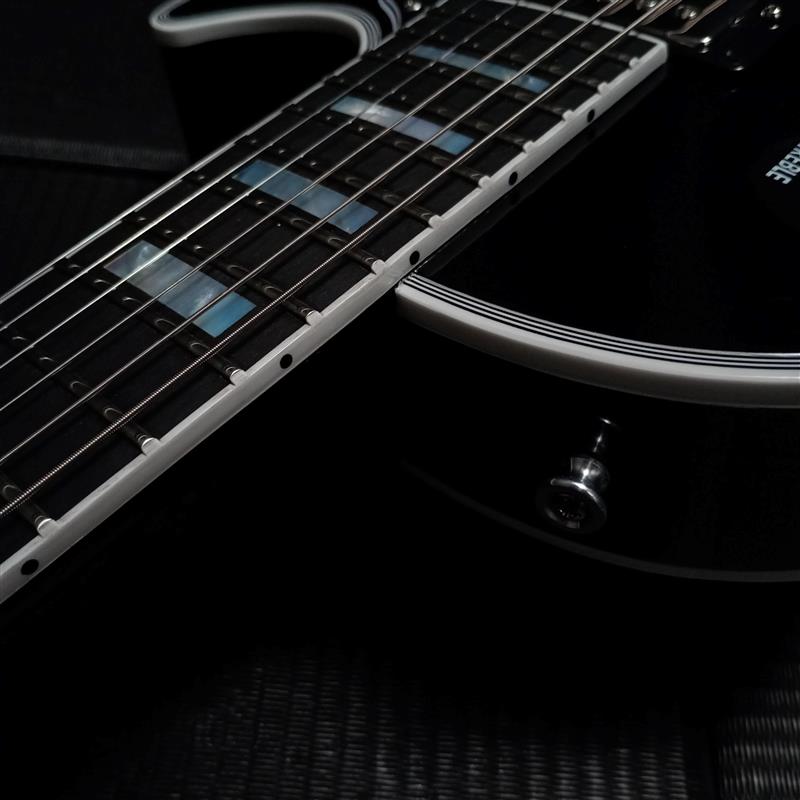 Gibson Custom Shop / Hand Picked Les Paul Custom w/Ebony