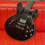 Gibson / ES-339 Trans EbonyS/N 221630087