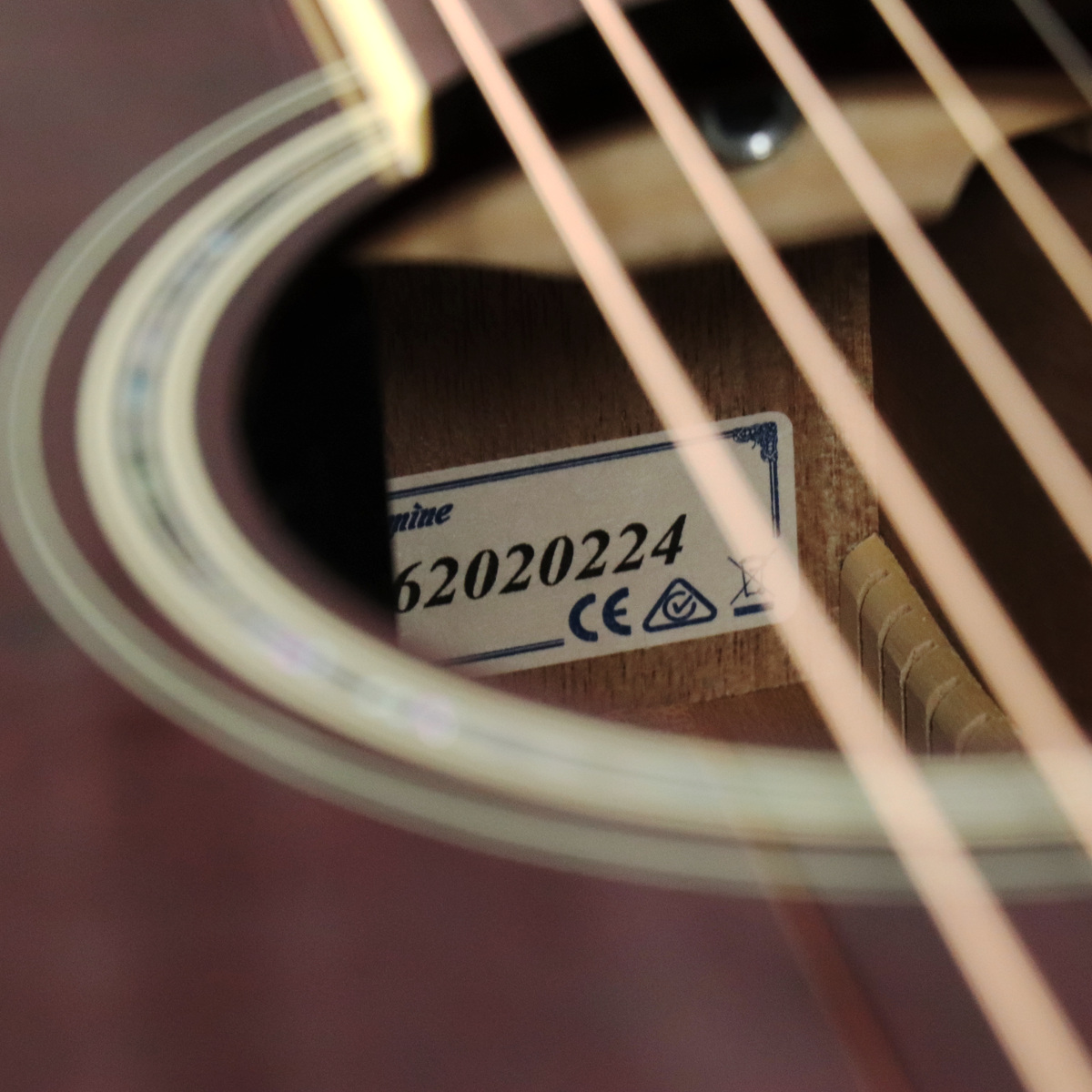 Takamine / DMP551C WR 【500 Series】 【S/N 62020224】【梅田