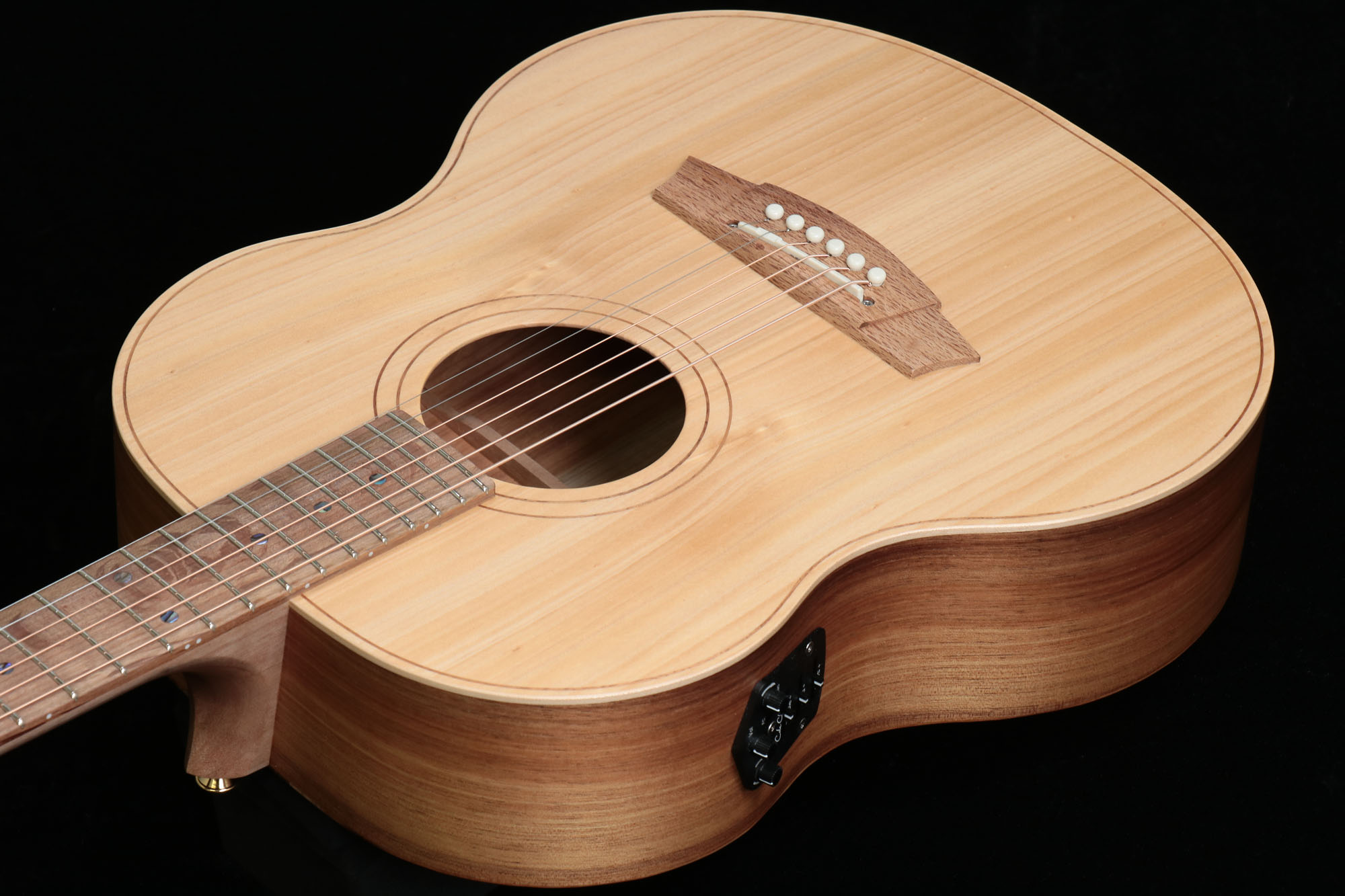 Cole Clark / LL Mini CCLL2E-BB Bunya Top Blackwood Back and