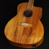 Cole Clark / AN Grand Auditorium Series CCSAN1EC-BLBL All Blackwood Studio Grade S/N:2407503 ڿضŹ