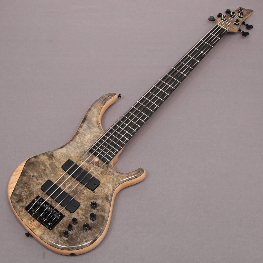 Moon ムーン / CLIMB-5OX LIMITED Backeye Burl Top Natural