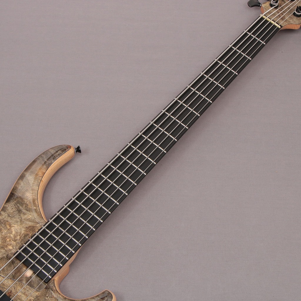 Moon ムーン Climb 5ox Limited Backeye Burl Top Natural クライム イシバシ楽器