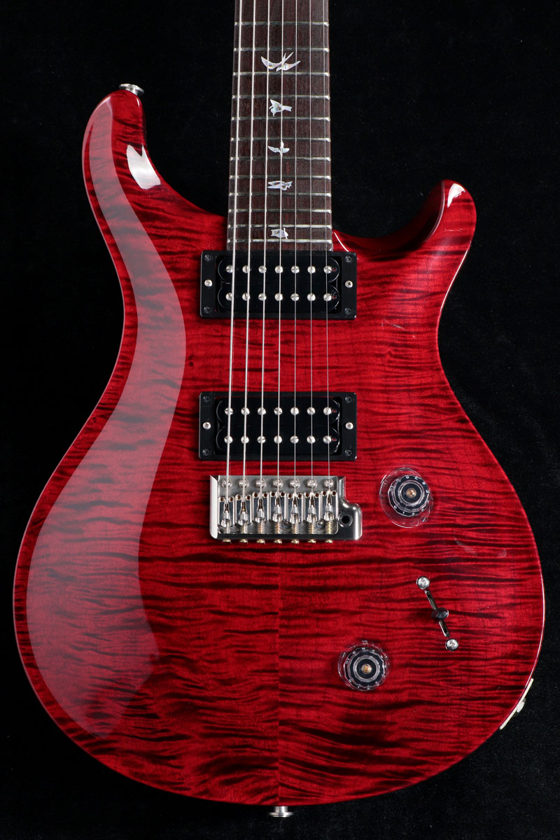 Paul Reed Smith (PRS) / Private Stock #8450 Custom 24