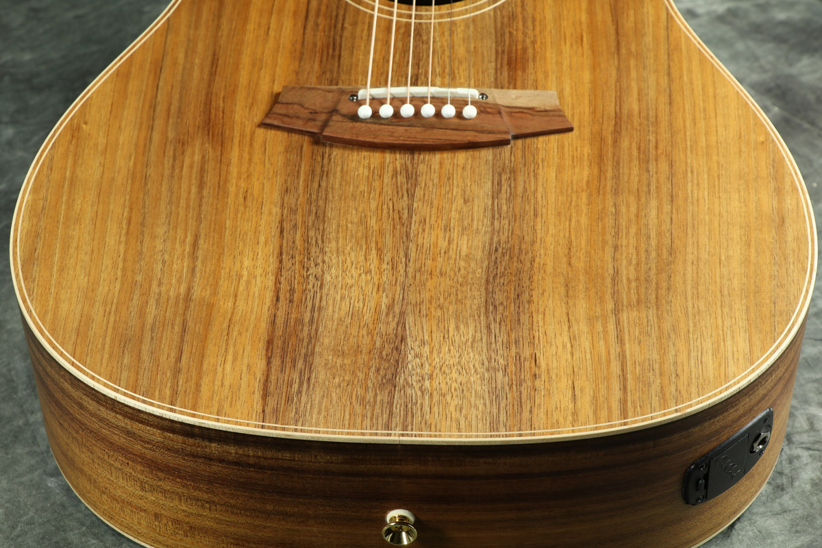Cole Clark CCFL2EC-BLBL　ハードケース付き Cole Clark コールクラーク CCFL2EC-BLBL FL Dreadnought