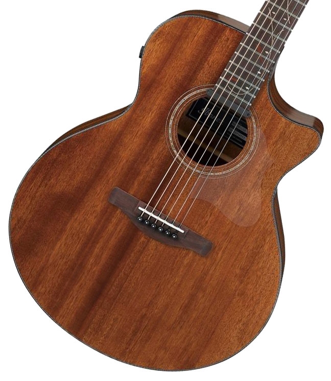 格安で　Ibanez AE295ーL GS Amazon.com: Ibanez AE295 Acoustic-Electric Guitar - Natural