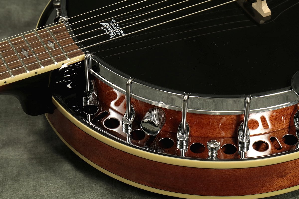 Epiphone / Stagebird 6-String Electric Banjo Mahogany エピフォン