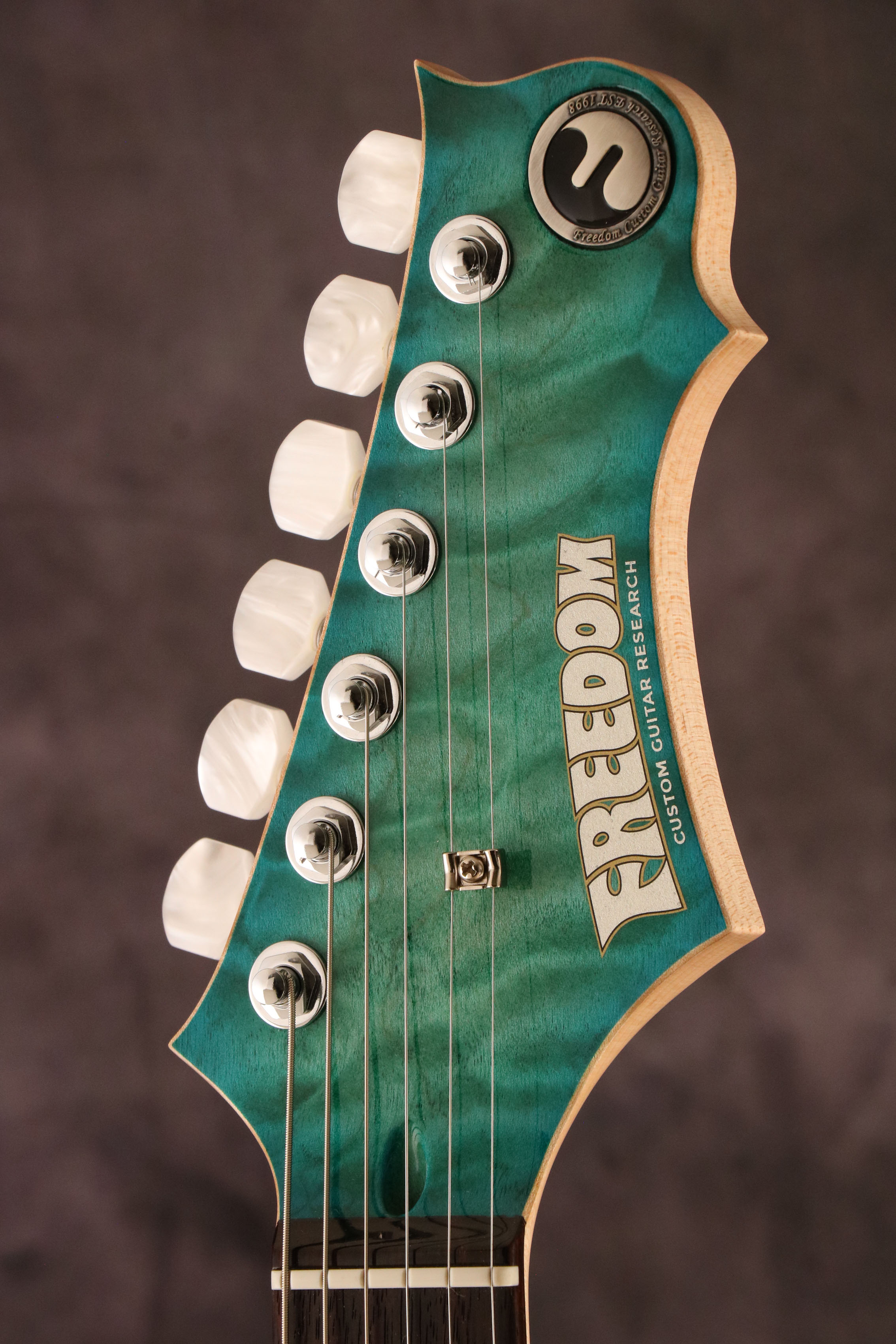 FREEDOM CUSTOM GUITAR RESEARCH / Hydra 24F-2Point Premium