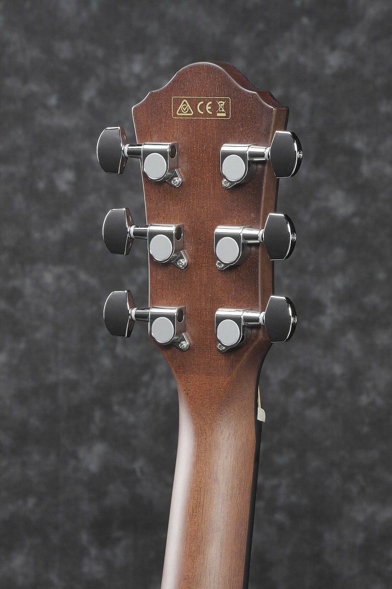 Ibanez / AEG50-DHH (Dark Honey Burst High Gloss