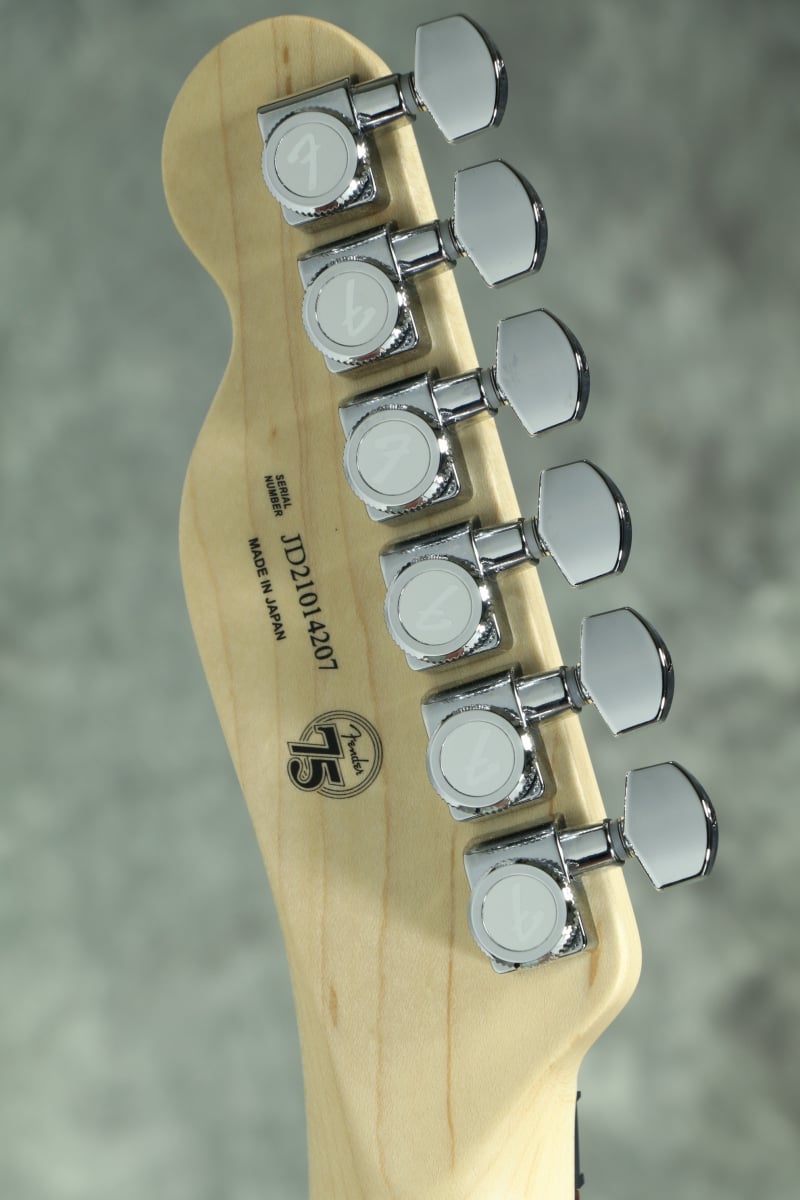 Fender / ISHIBASHI FSR Made in Japan Modern Telecaster HH