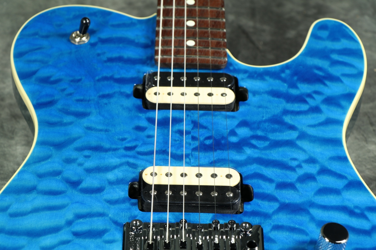 テレキャスター　コンポーネント WD Music Parts使用 Component Telecaster Type（Sold Out