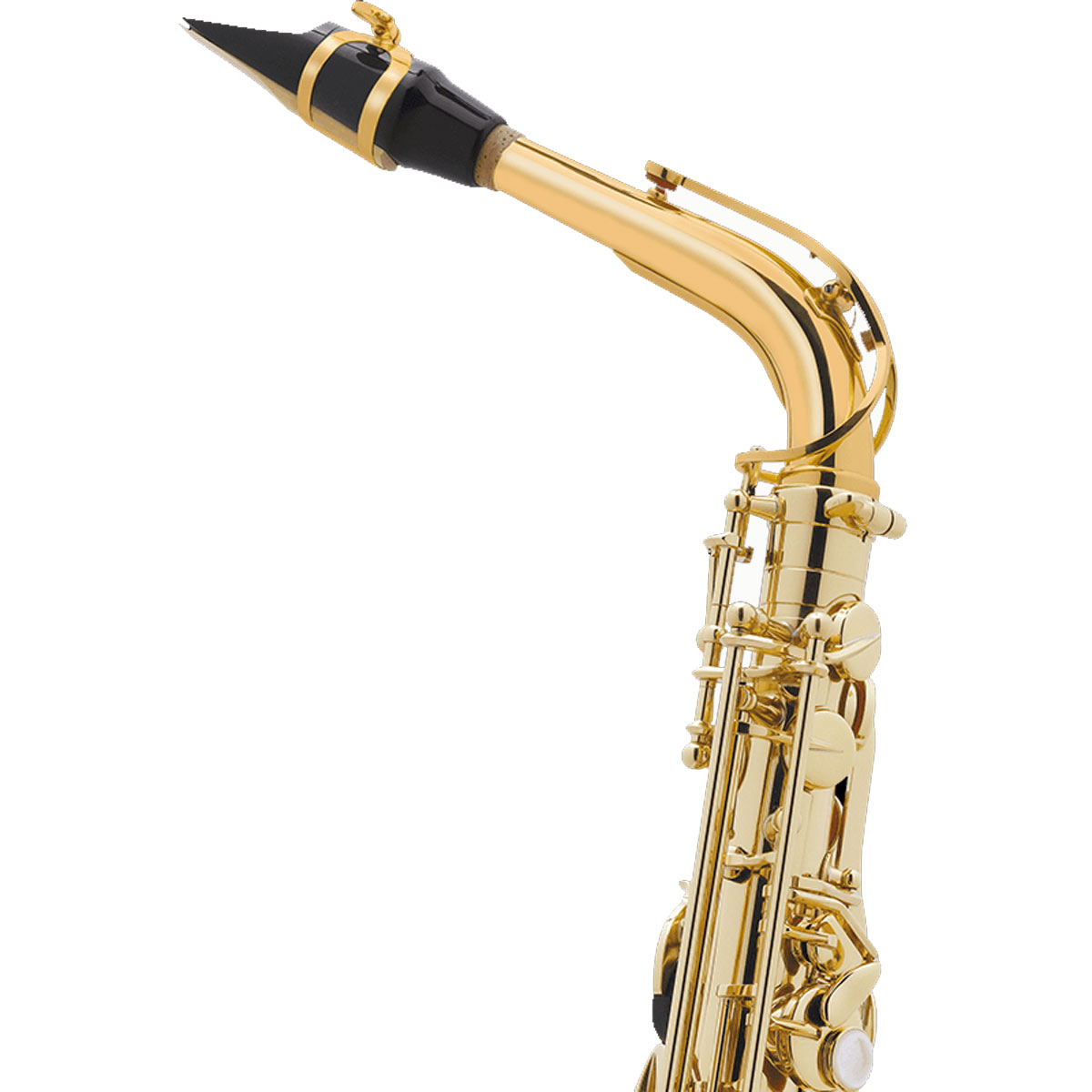 アルトサックス SELMER AXOS (セルマー アクソス)