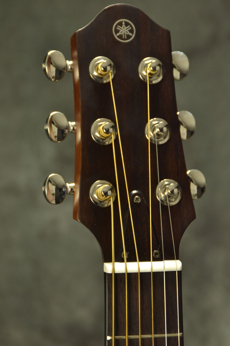 YAMAHA / SLG200S TBS (タバコブラウンサンバースト) [新品