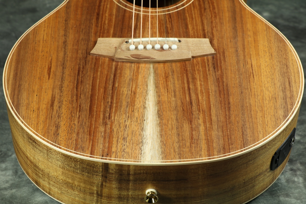 コールクラーク Cole Clark (コール・クラーク) Guitars / イシバシ楽器