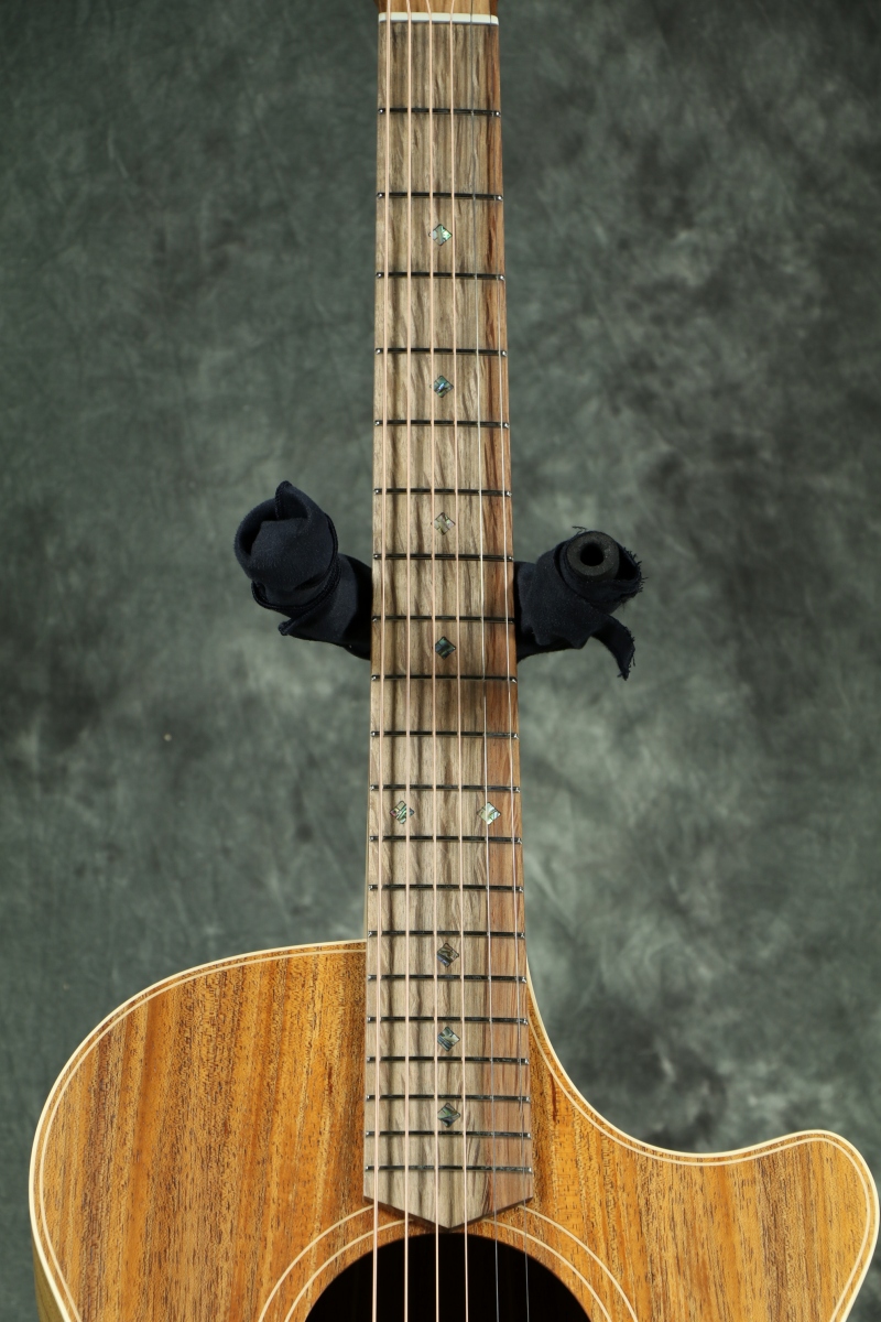コールクラーク Cole Clark (コール・クラーク) Guitars / イシバシ楽器