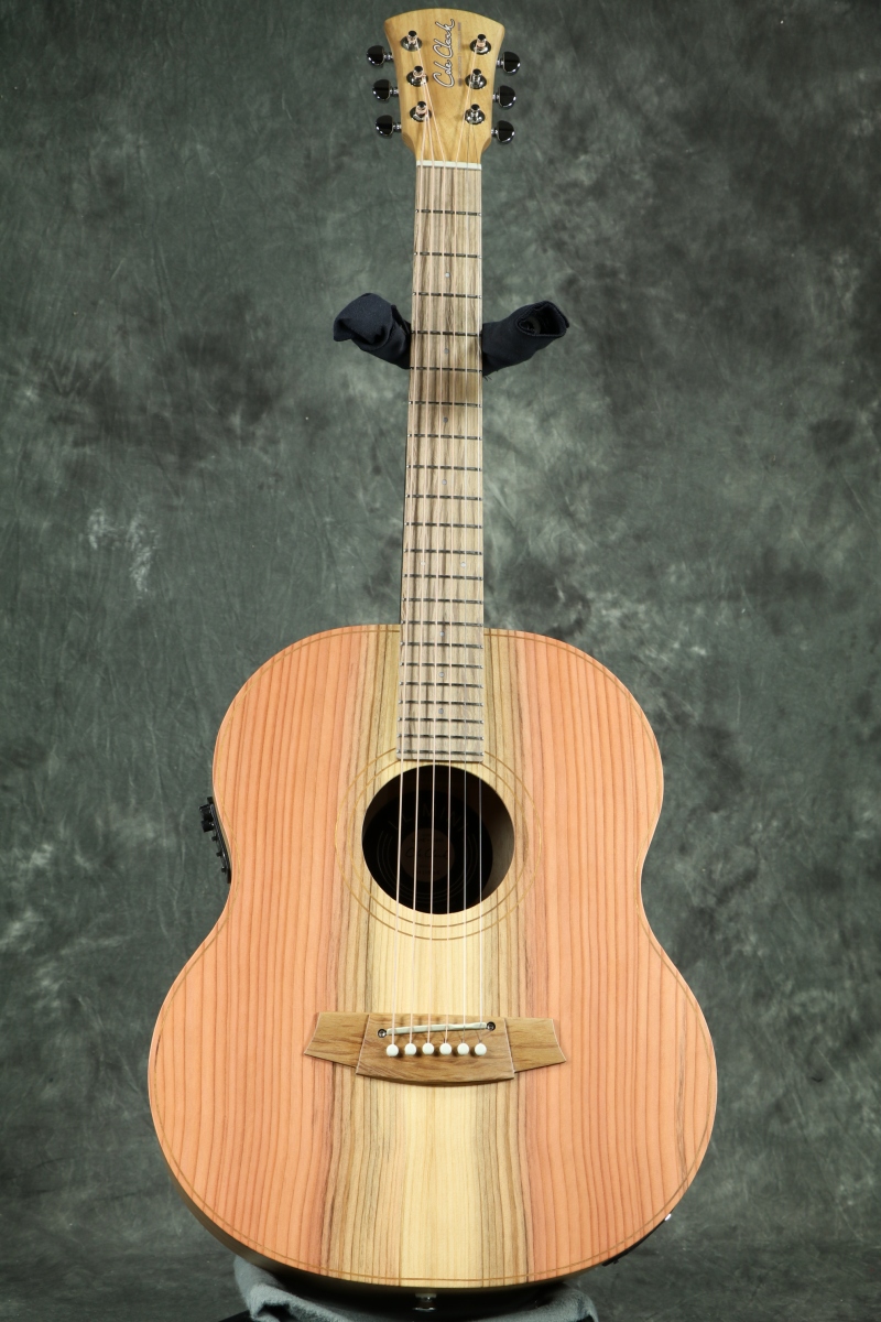 Cole Clark / CCLL1E-RDM 【LL Mini】【アウトレット特価
