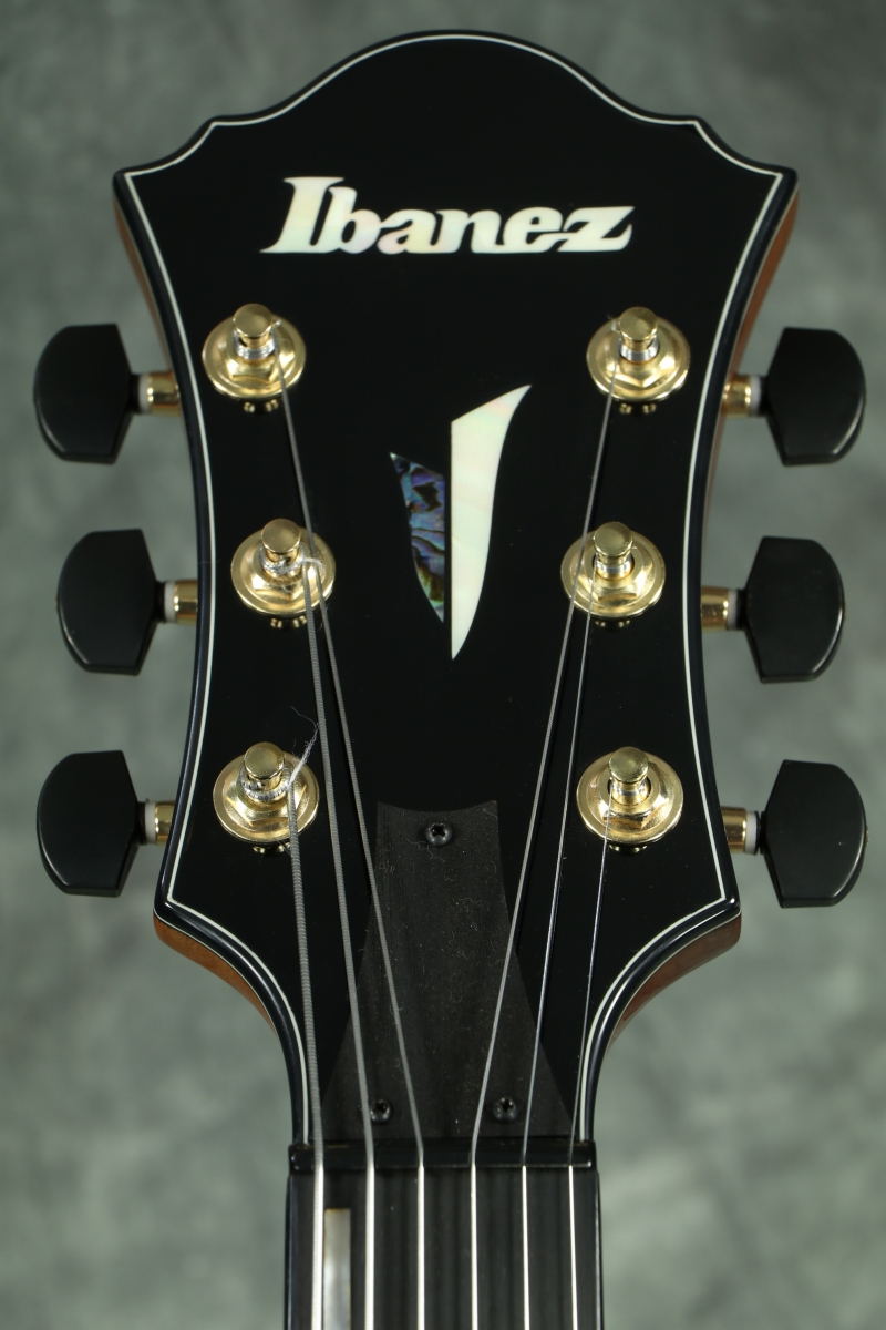 Ibanez / AFC151-DA (Dark Amber) 【B級アウトレット特価】 [S/N