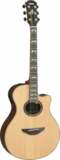 YAMAHA / APX1200 II Natural (NT) ޥ   [B饢ȥåò]