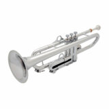 PTRUMPET HYTECH ピートランペット ハイテック SILVE シルバー 1