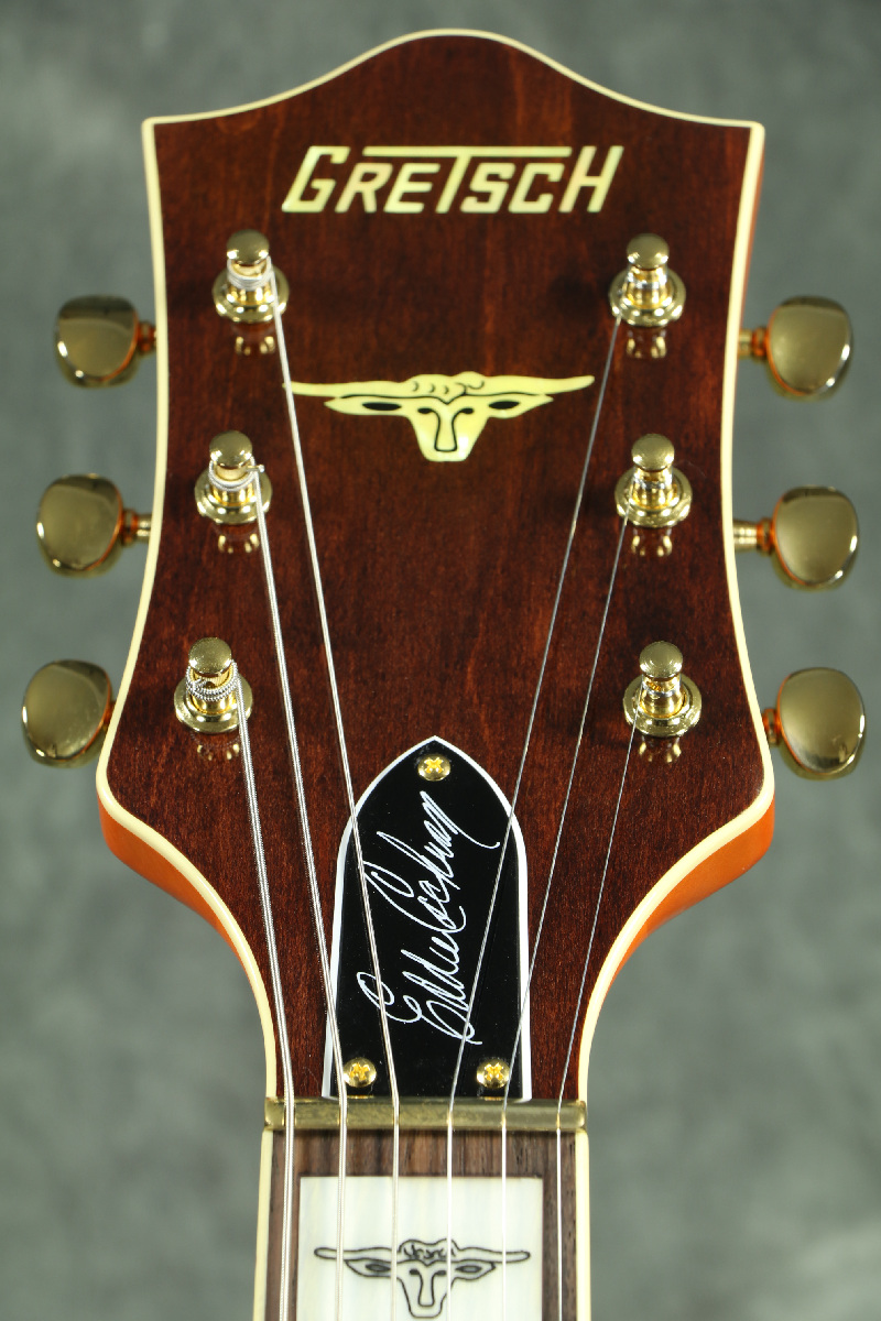 Gretsch / G6120 Eddie Cochran Signature 6120 Hollow Body Gretsch / G6120 Eddie Cochran Signature 6120 Hollow Body