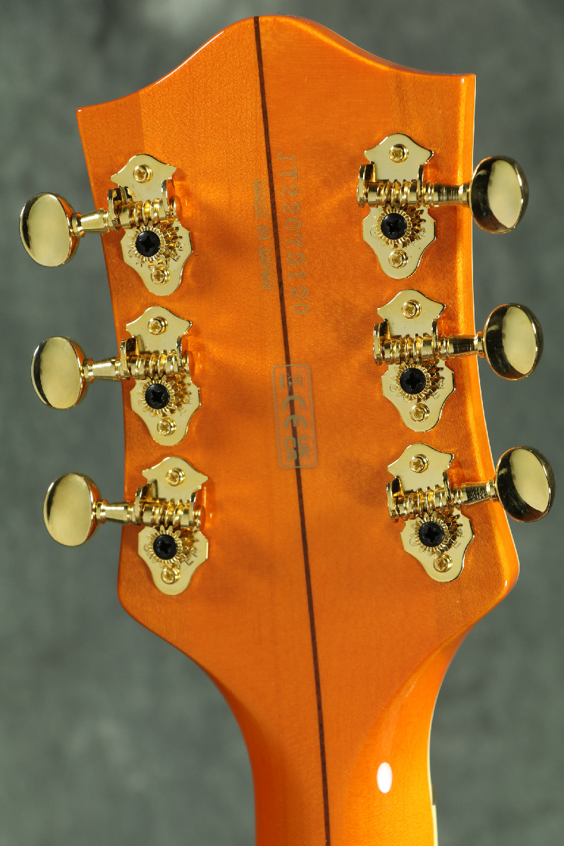 Gretsch / G6120 Eddie Cochran Signature 6120 Hollow Body Gretsch / G6120 Eddie Cochran Signature 6120 Hollow Body