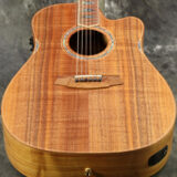 Cole Clark / FL Dreadnought Series CCFL3EC-BLBL-AE Blackwood
