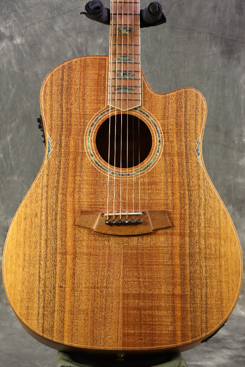 相場以下] Cole Clark FL3EC-BLBL-AE 美品 メンテ済 - メルカリ
