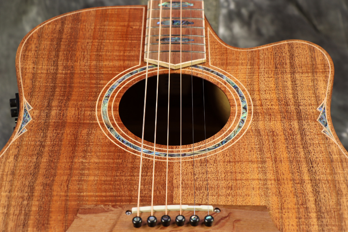 Cole Clark / FL Dreadnought Series CCFL3EC-BLBL-AE Blackwood