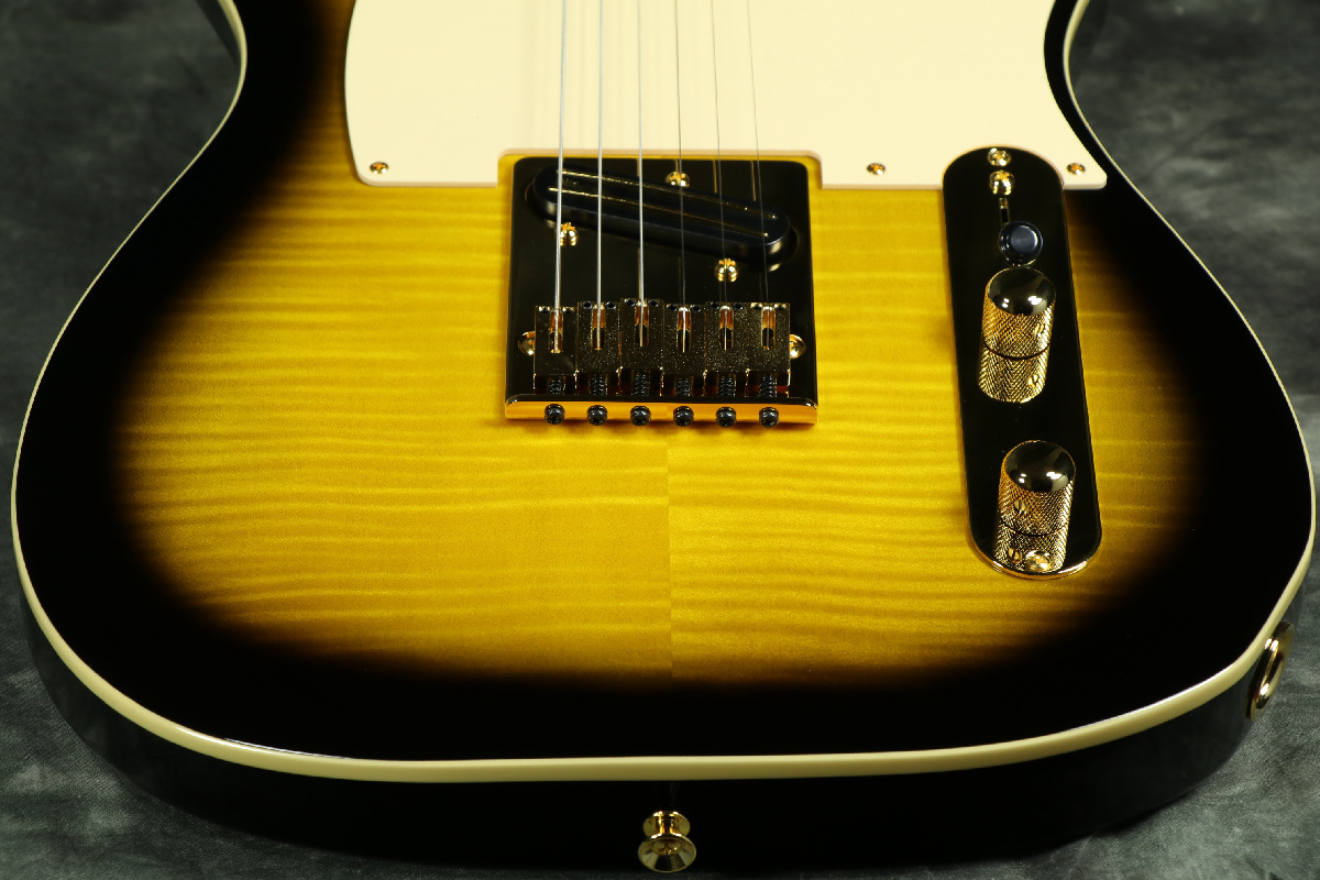 Fender / Japan Exclusive Richie Kotzen Telecaster Brown