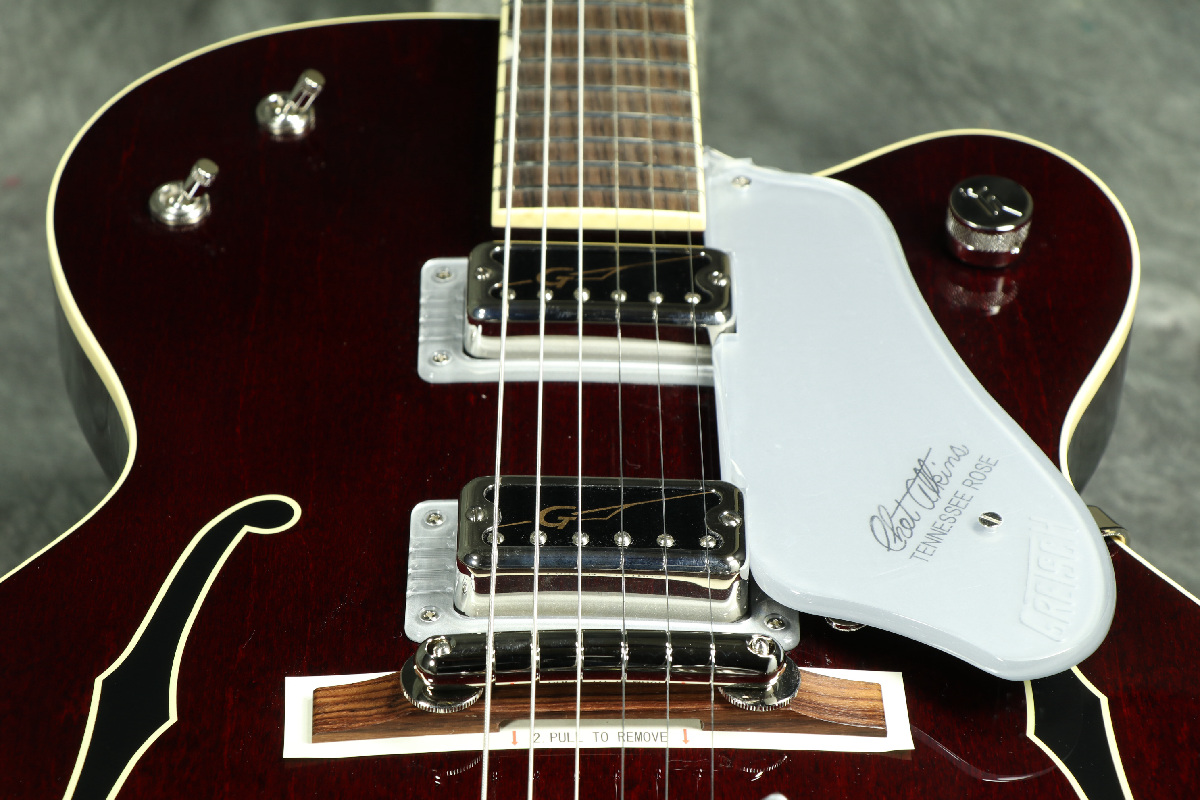 Gretsch / G6119T-62 Vintage Select Edition '62 Tennessee