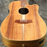 Cole Clark / FL Dreadnought Series CCFL2EC-BLBL Blackwood top back and sides  å[S/N:220942580]