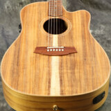 Cole Clark / FL Dreadnought Series CCFL2EC-BLBL Blackwood top back and sides  å[S/N:220942478]