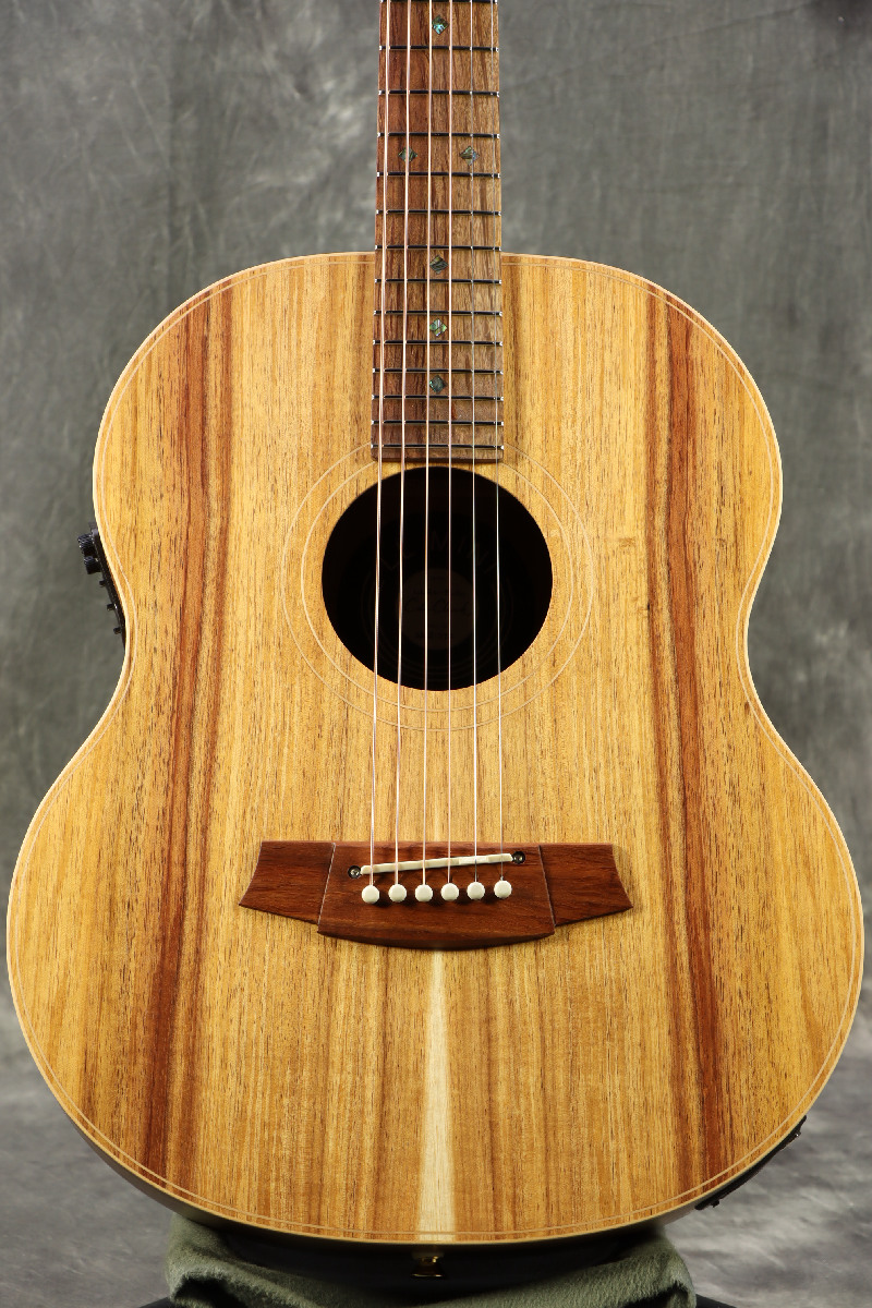 Cole Clark / Touring Series CCLL2E-BLBL 2 Grade All