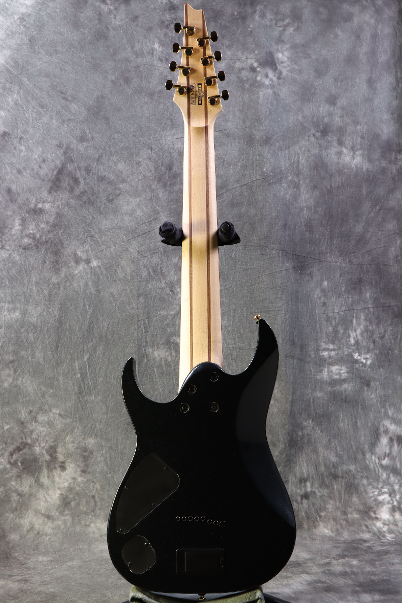 Ibanez RG80F IPT 8弦 【生産完了品】 Ibanez Standard RG80F Electric Guitar - Iron Pewter | Sweetwater